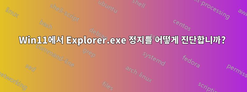 Win11에서 Explorer.exe 정지를 어떻게 진단합니까?