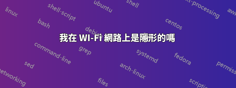 我在 WI-Fi 網路上是隱形的嗎