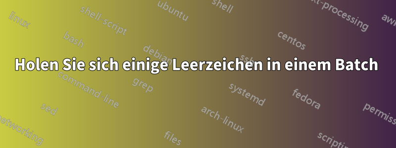 Holen Sie sich einige Leerzeichen in einem Batch