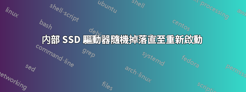 內部 SSD 驅動器隨機掉落直至重新啟動