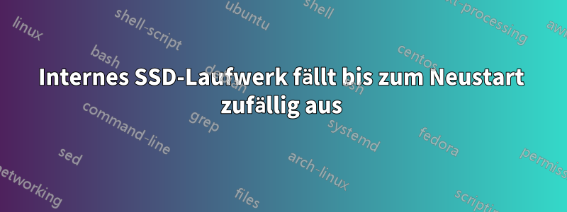 Internes SSD-Laufwerk fällt bis zum Neustart zufällig aus