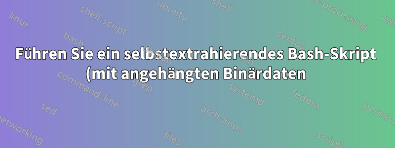 Führen Sie ein selbstextrahierendes Bash-Skript (mit angehängten Binärdaten) aus, ohne es vorher zu speichern.