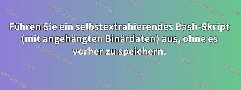 Führen Sie ein selbstextrahierendes Bash-Skript (mit angehängten Binärdaten) aus, ohne es vorher zu speichern.