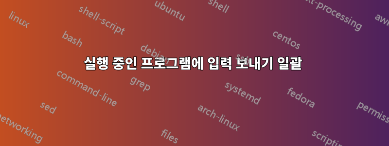 실행 중인 프로그램에 입력 보내기 일괄