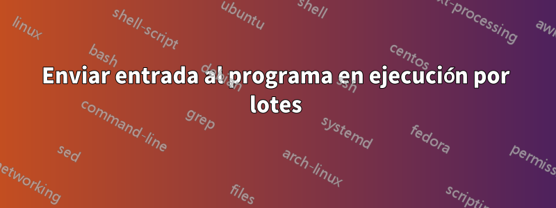 Enviar entrada al programa en ejecución por lotes