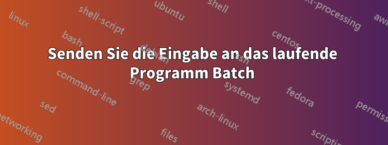 Senden Sie die Eingabe an das laufende Programm Batch