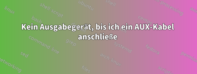 Kein Ausgabegerät, bis ich ein AUX-Kabel anschließe