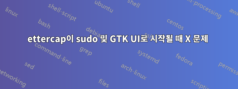 ettercap이 sudo 및 GTK UI로 시작될 때 X 문제