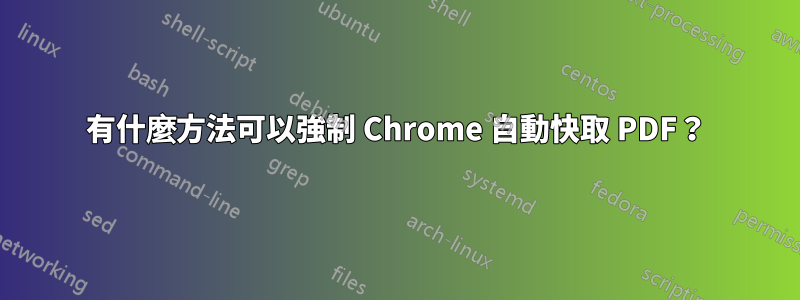有什麼方法可以強制 Chrome 自動快取 PDF？