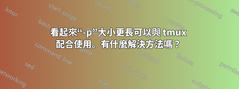 看起來“-p”大小更長可以與 tmux 配合使用。有什麼解決方法嗎？