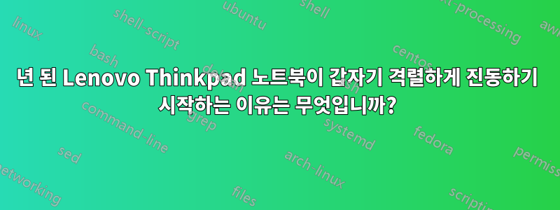 4년 된 Lenovo Thinkpad 노트북이 갑자기 격렬하게 진동하기 시작하는 이유는 무엇입니까?