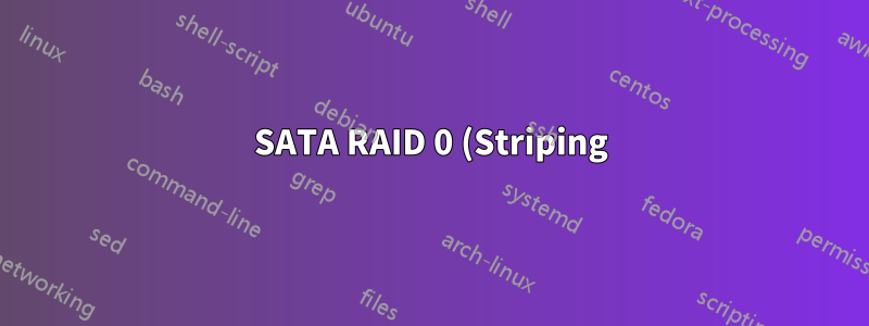 SATA RAID 0 (Striping) Konfiguration unter Windows 11