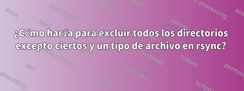 ¿Cómo haría para excluir todos los directorios excepto ciertos y un tipo de archivo en rsync?
