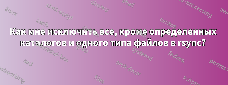Как мне исключить все, кроме определенных каталогов и одного типа файлов в rsync?
