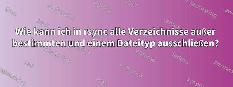 Wie kann ich in rsync alle Verzeichnisse außer bestimmten und einem Dateityp ausschließen?
