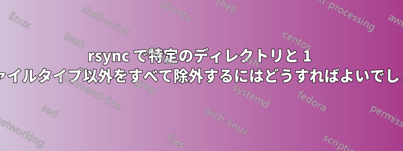 rsync で特定のディレクトリと 1 つのファイルタイプ以外をすべて除外するにはどうすればよいでしょうか?