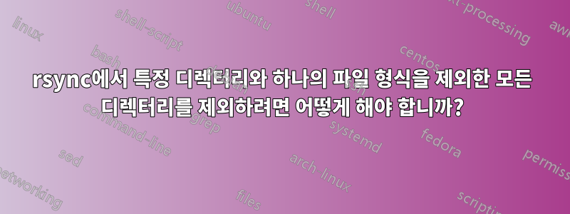 rsync에서 특정 디렉터리와 하나의 파일 형식을 제외한 모든 디렉터리를 제외하려면 어떻게 해야 합니까?
