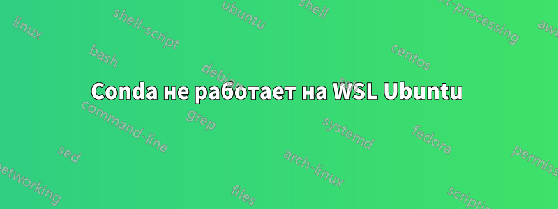 Conda не работает на WSL Ubuntu