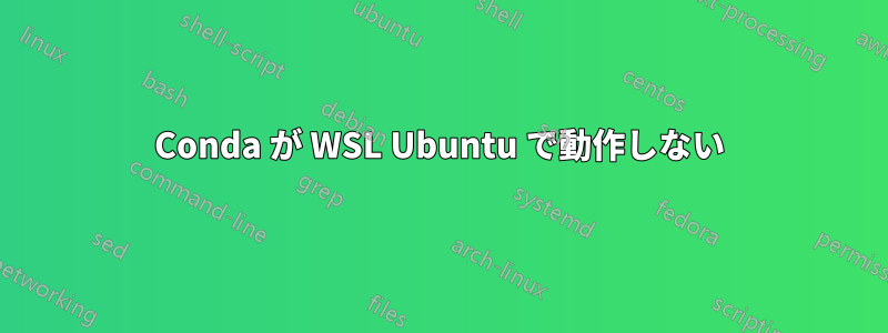 Conda が WSL Ubuntu で動作しない
