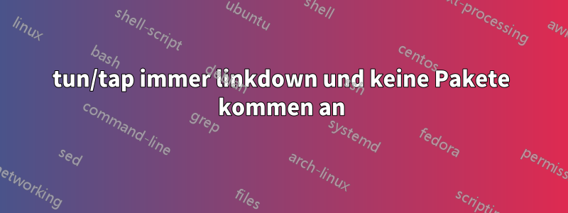 tun/tap immer linkdown und keine Pakete kommen an