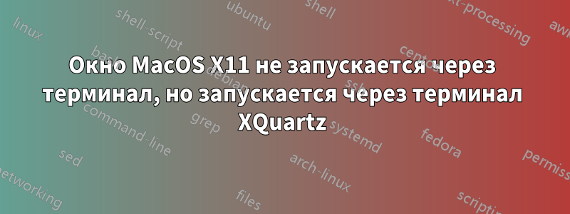 Окно MacOS X11 не запускается через терминал, но запускается через терминал XQuartz