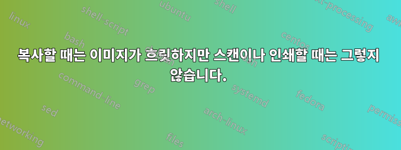 복사할 때는 이미지가 흐릿하지만 스캔이나 인쇄할 때는 그렇지 않습니다.