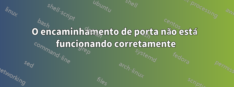 O encaminhamento de porta não está funcionando corretamente