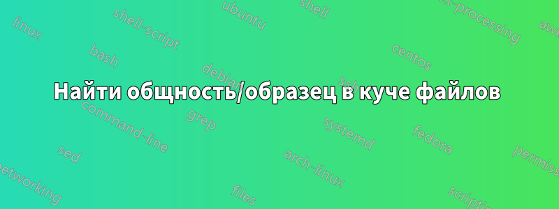 Найти общность/образец в куче файлов