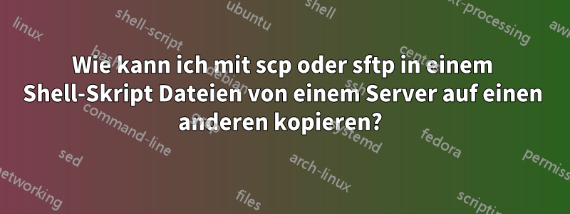 Wie kann ich mit scp oder sftp in einem Shell-Skript Dateien von einem Server auf einen anderen kopieren? 