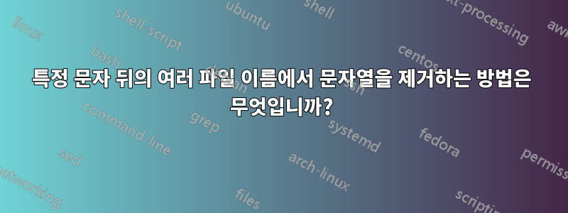 특정 문자 뒤의 여러 파일 이름에서 문자열을 제거하는 방법은 무엇입니까?