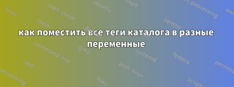 как поместить все теги каталога в разные переменные