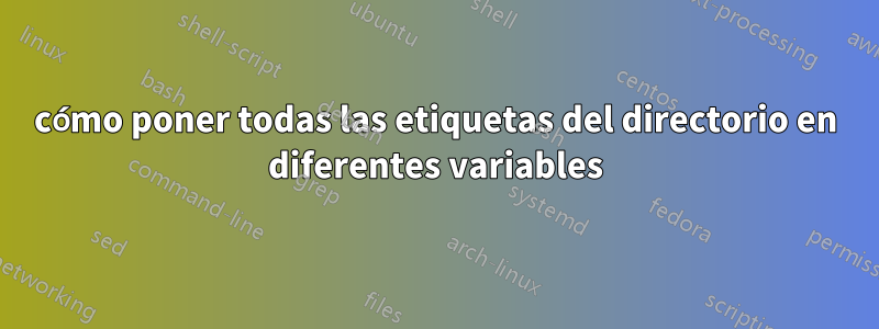 cómo poner todas las etiquetas del directorio en diferentes variables