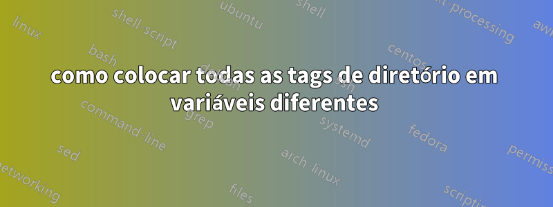 como colocar todas as tags de diretório em variáveis ​​diferentes