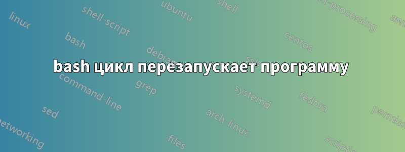 bash цикл перезапускает программу