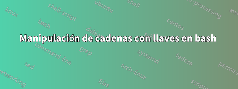 Manipulación de cadenas con llaves en bash