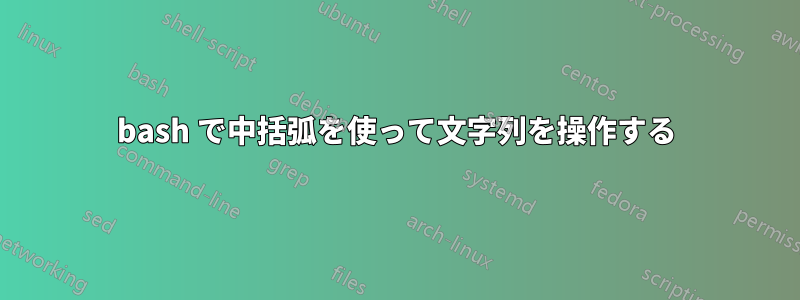 bash で中括弧を使って文字列を操作する