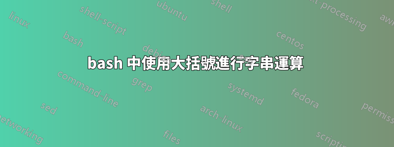 bash 中使用大括號進行字串運算