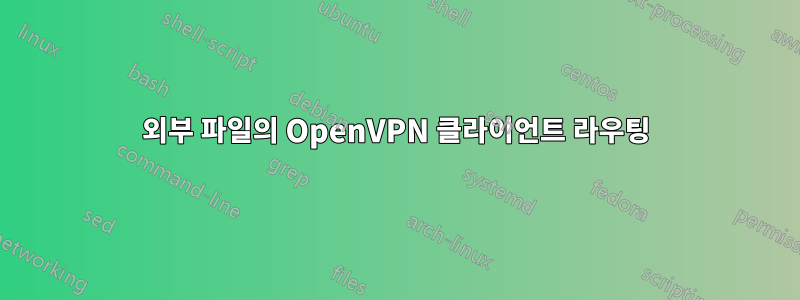 외부 파일의 OpenVPN 클라이언트 라우팅