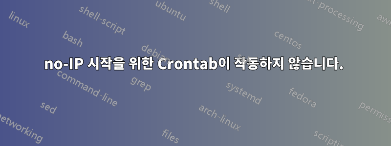 no-IP 시작을 위한 Crontab이 작동하지 않습니다.