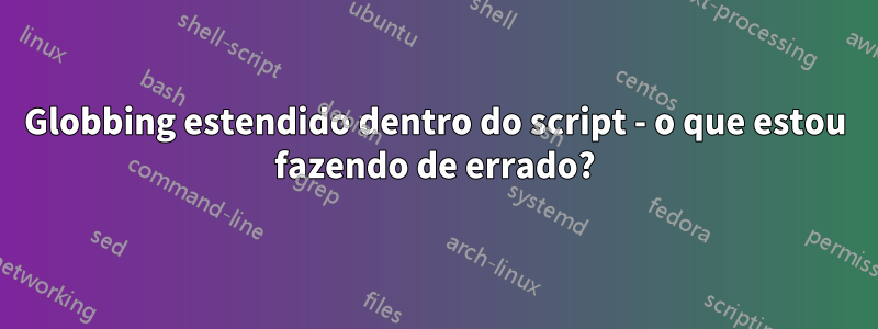 Globbing estendido dentro do script - o que estou fazendo de errado?