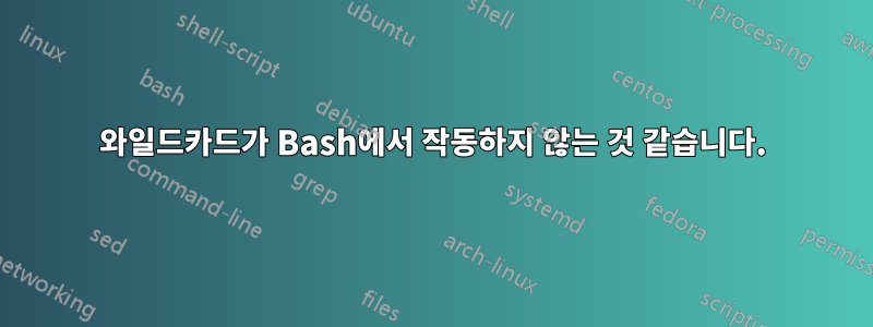 와일드카드가 Bash에서 작동하지 않는 것 같습니다.