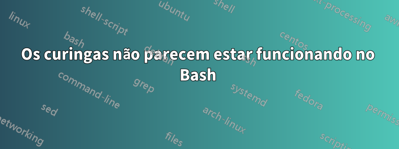 Os curingas não parecem estar funcionando no Bash