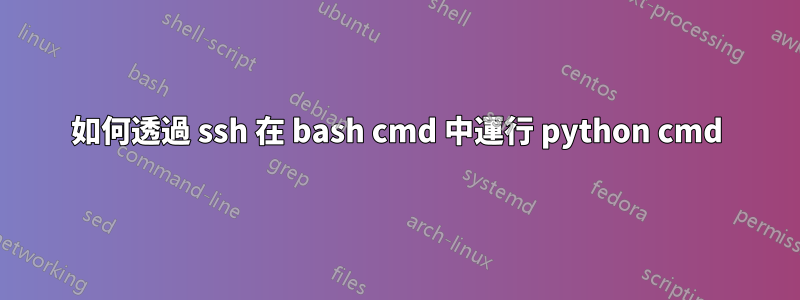 如何透過 ssh 在 bash cmd 中運行 python cmd