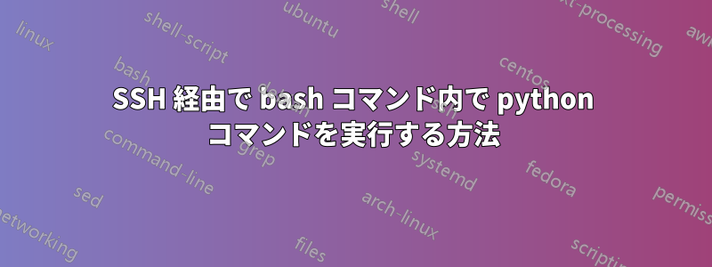 SSH 経由で bash コマンド内で python コマンドを実行する方法