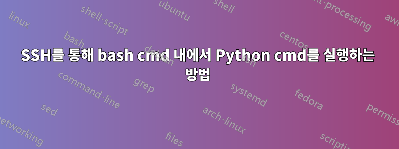 SSH를 통해 bash cmd 내에서 Python cmd를 실행하는 방법