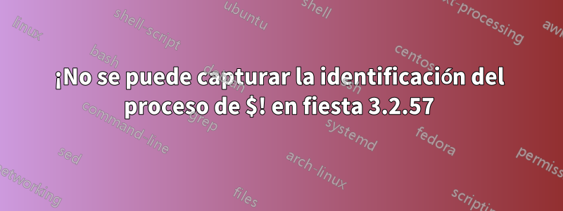 ¡No se puede capturar la identificación del proceso de $! en fiesta 3.2.57