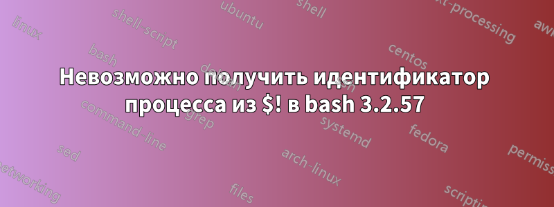 Невозможно получить идентификатор процесса из $! в bash 3.2.57