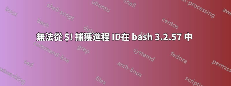 無法從 $! 捕獲進程 ID在 bash 3.2.57 中