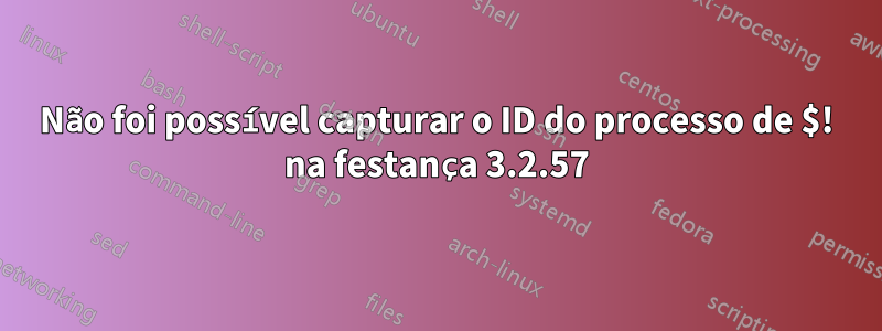 Não foi possível capturar o ID do processo de $! na festança 3.2.57