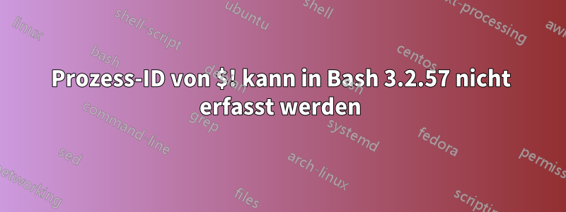 Prozess-ID von $! kann in Bash 3.2.57 nicht erfasst werden